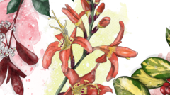 THE SUN_gardening_thumb