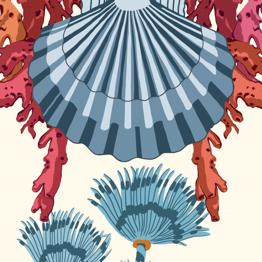WALLPAPER - CORALS - Image 2